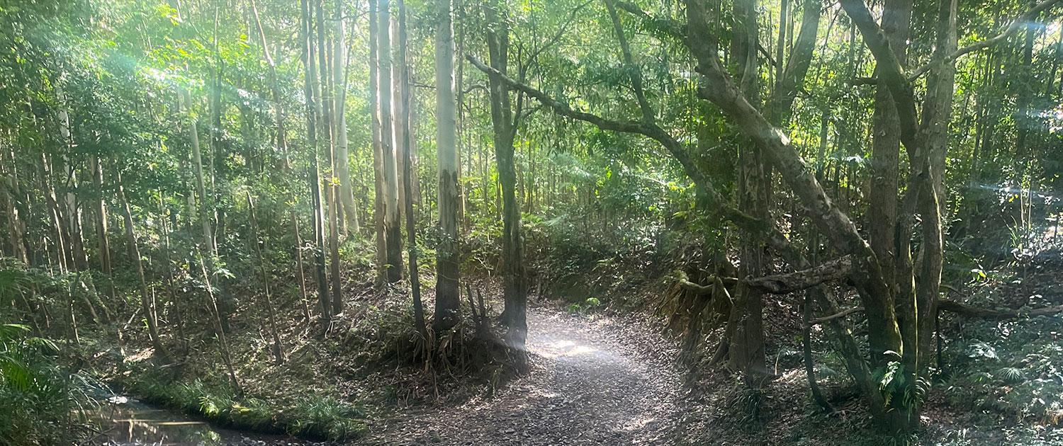 Day Three - Sunlight Streaming